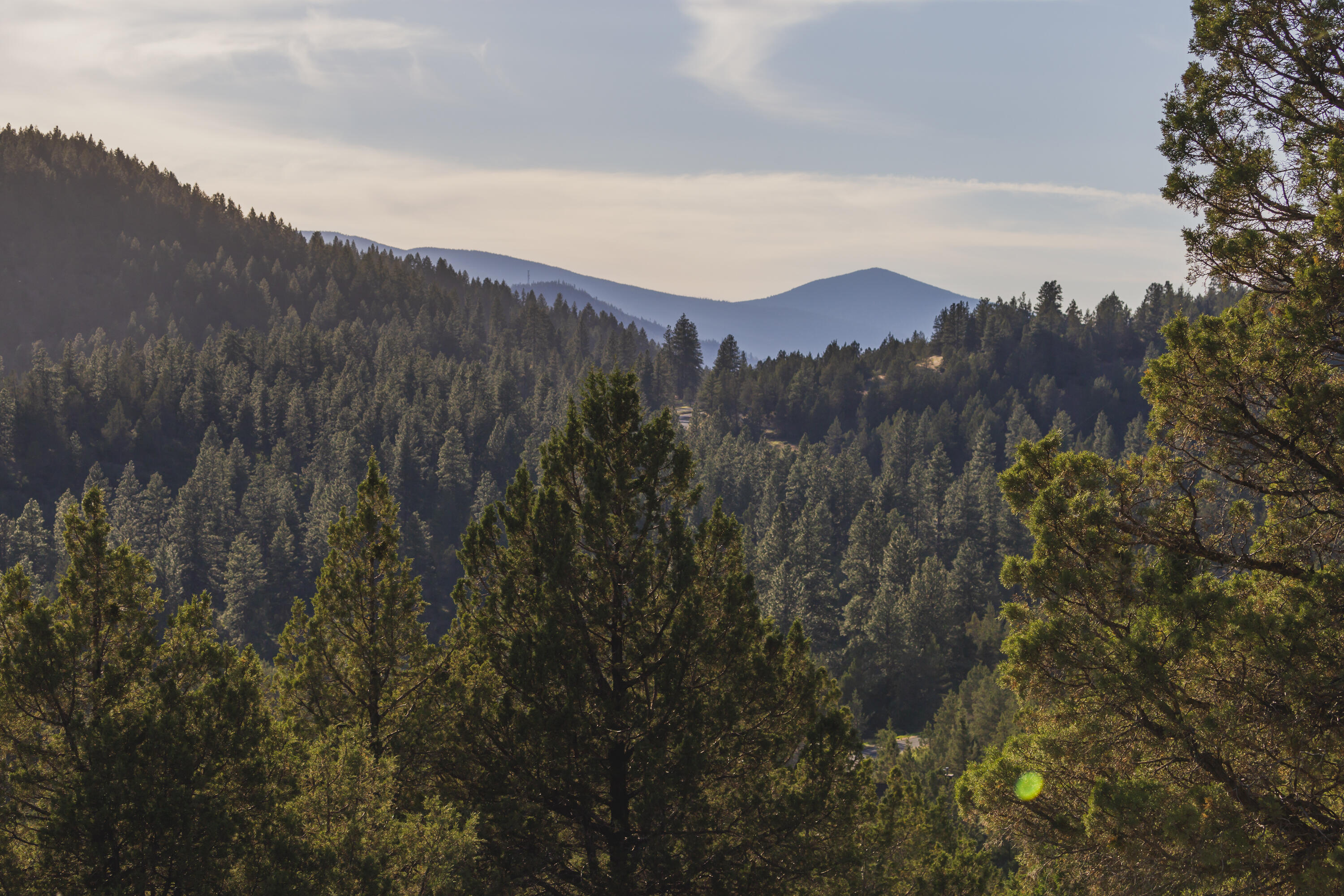 Ridgewater Subdivision -Phase 1 - Land