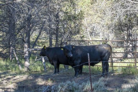 Tiny photo for 32500 SE Tackman Road, Prineville, OR 97754 (MLS # 220209744)