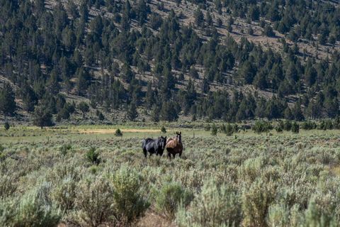 Tiny photo for 32500 SE Tackman Road, Prineville, OR 97754 (MLS # 220209744)