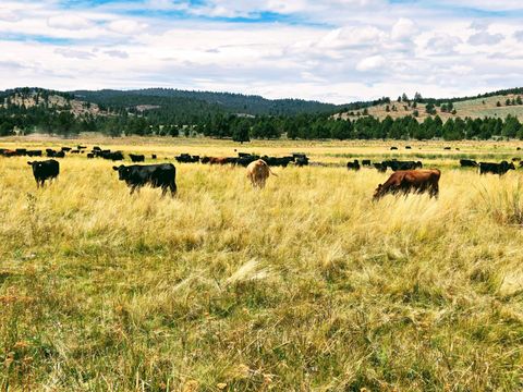 Tiny photo for 32500 SE Tackman Road, Prineville, OR 97754 (MLS # 220209744)