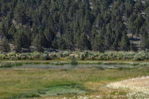 Tiny photo for 32500 SE Tackman Road, Prineville, OR 97754 (MLS # 220209744)