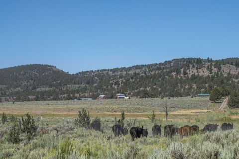 Tiny photo for 32500 SE Tackman Road, Prineville, OR 97754 (MLS # 220209744)