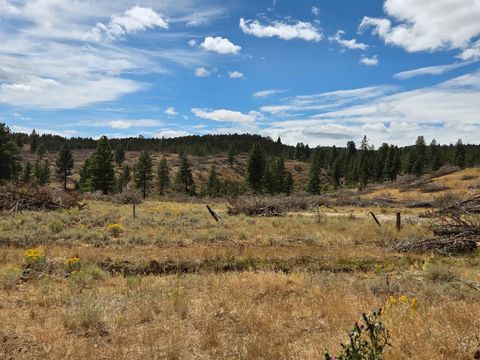 Tiny photo for 32500 SE Tackman Road, Prineville, OR 97754 (MLS # 220209744)