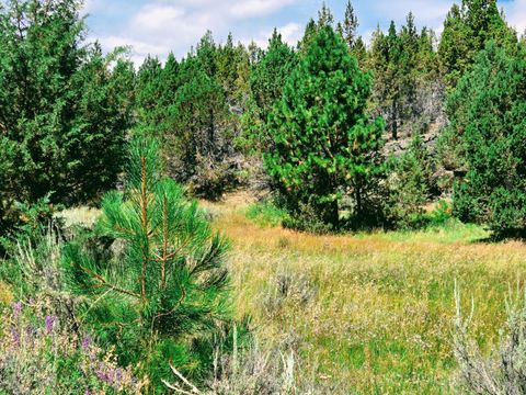 Tiny photo for 32500 SE Tackman Road, Prineville, OR 97754 (MLS # 220209744)