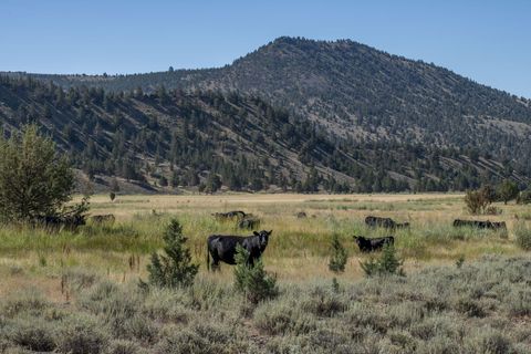 Tiny photo for 32500 SE Tackman Road, Prineville, OR 97754 (MLS # 220209744)