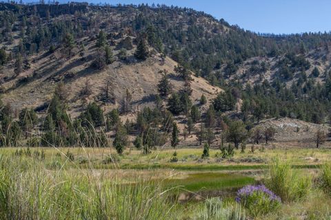 Tiny photo for 32500 SE Tackman Road, Prineville, OR 97754 (MLS # 220209744)