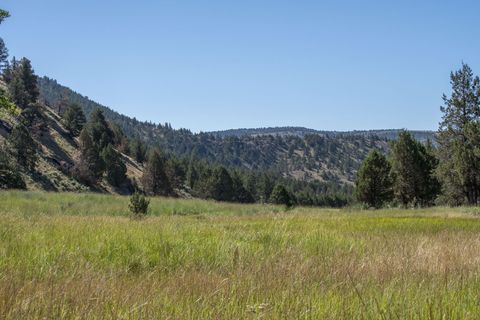 Tiny photo for 32500 SE Tackman Road, Prineville, OR 97754 (MLS # 220209744)