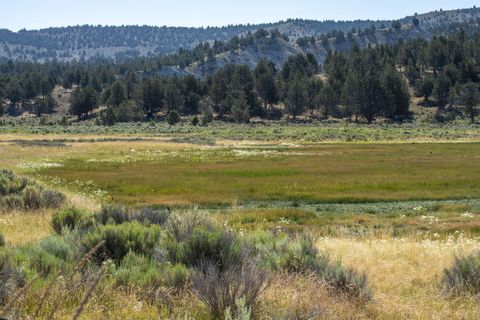 Tiny photo for 32500 SE Tackman Road, Prineville, OR 97754 (MLS # 220209744)