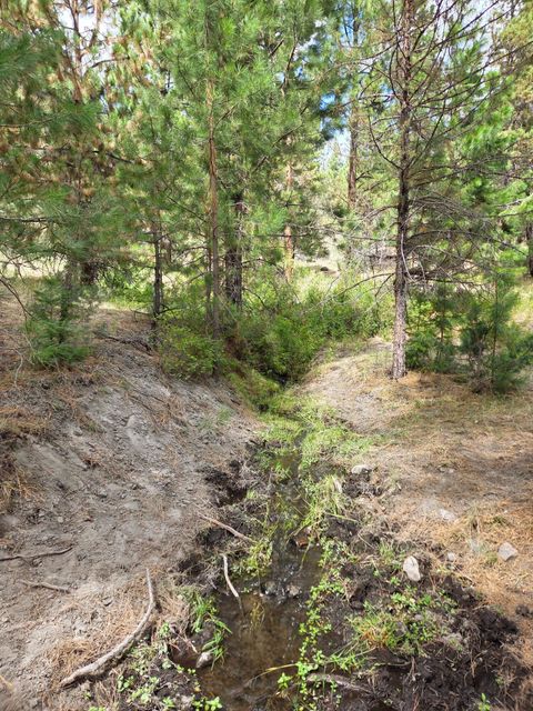 Tiny photo for 32500 SE Tackman Road, Prineville, OR 97754 (MLS # 220209744)