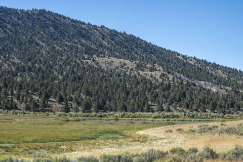 Tiny photo for 32500 SE Tackman Road, Prineville, OR 97754 (MLS # 220209744)