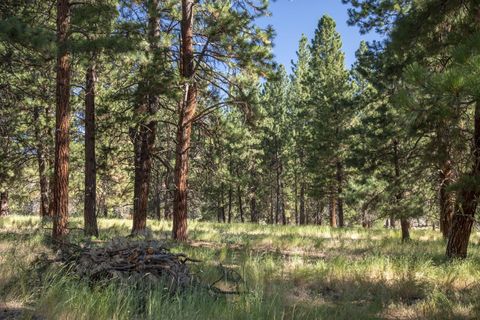 Tiny photo for 32500 SE Tackman Road, Prineville, OR 97754 (MLS # 220209744)