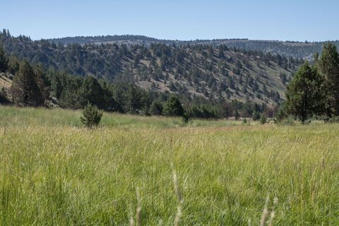 Tiny photo for 32500 SE Tackman Road, Prineville, OR 97754 (MLS # 220209744)