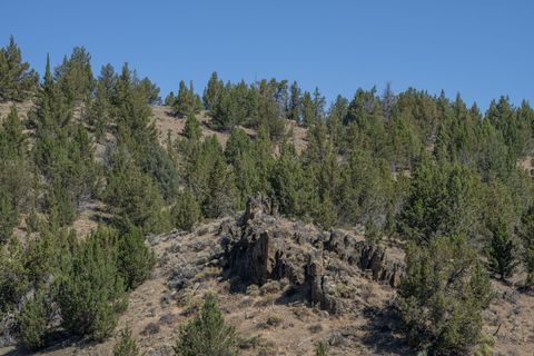 Tiny photo for 32500 SE Tackman Road, Prineville, OR 97754 (MLS # 220209744)