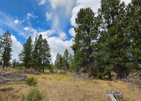 Tiny photo for 32500 SE Tackman Road, Prineville, OR 97754 (MLS # 220209744)