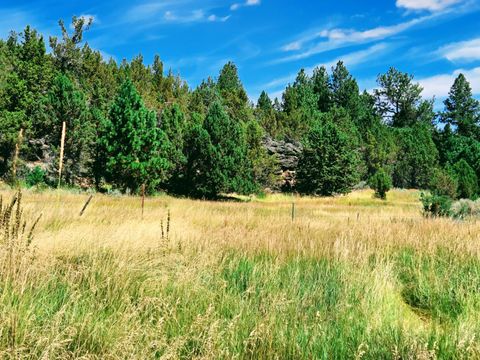 Tiny photo for 32500 SE Tackman Road, Prineville, OR 97754 (MLS # 220209744)