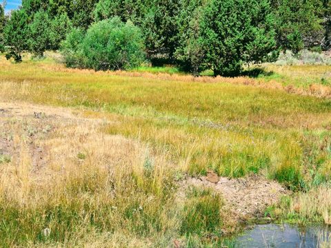 Tiny photo for 32500 SE Tackman Road, Prineville, OR 97754 (MLS # 220209744)