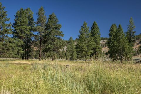 Tiny photo for 32500 SE Tackman Road, Prineville, OR 97754 (MLS # 220209744)