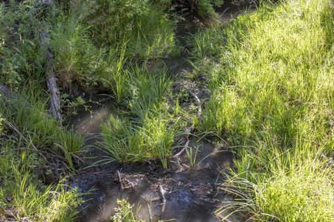 Tiny photo for 32500 SE Tackman Road, Prineville, OR 97754 (MLS # 220209744)
