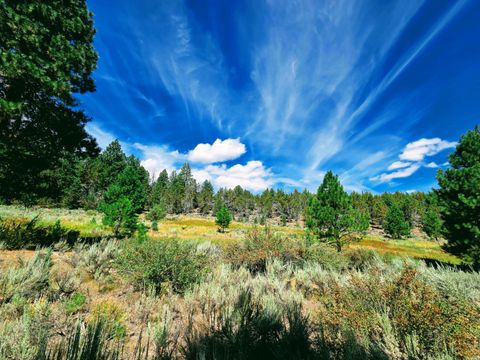 Tiny photo for 32500 SE Tackman Road, Prineville, OR 97754 (MLS # 220209744)