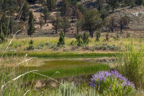 Tiny photo for 32500 SE Tackman Road, Prineville, OR 97754 (MLS # 220209744)