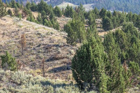 Tiny photo for 32500 SE Tackman Road, Prineville, OR 97754 (MLS # 220209744)