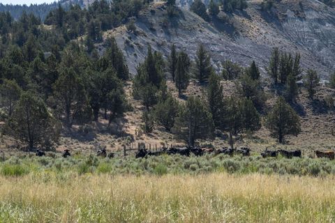 Tiny photo for 32500 SE Tackman Road, Prineville, OR 97754 (MLS # 220209744)