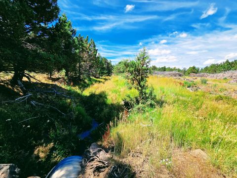 Tiny photo for 32500 SE Tackman Road, Prineville, OR 97754 (MLS # 220209744)