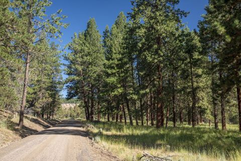 Tiny photo for 32500 SE Tackman Road, Prineville, OR 97754 (MLS # 220209744)