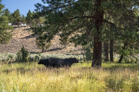 Tiny photo for 32500 SE Tackman Road, Prineville, OR 97754 (MLS # 220209744)