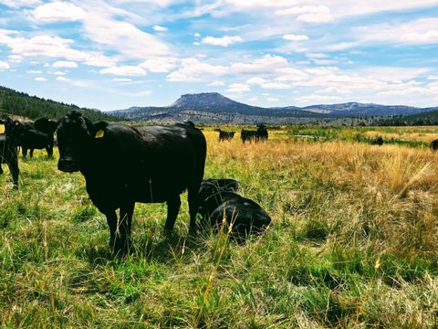 Tiny photo for 32500 SE Tackman Road, Prineville, OR 97754 (MLS # 220209744)