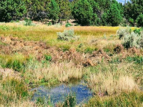 Tiny photo for 32500 SE Tackman Road, Prineville, OR 97754 (MLS # 220209744)