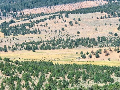 Tiny photo for 32500 SE Tackman Road, Prineville, OR 97754 (MLS # 220209744)