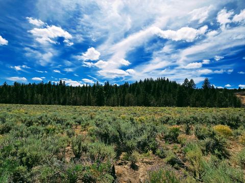 Tiny photo for 32500 SE Tackman Road, Prineville, OR 97754 (MLS # 220209744)