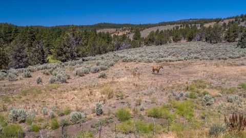 Tiny photo for 32500 SE Tackman Road, Prineville, OR 97754 (MLS # 220209744)