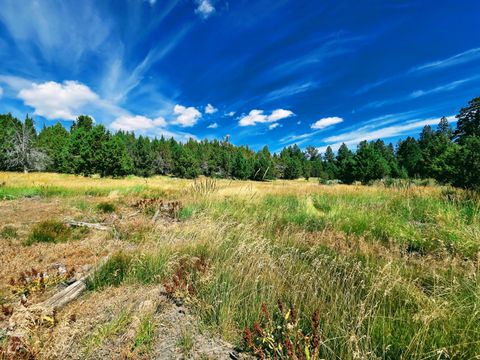 Tiny photo for 32500 SE Tackman Road, Prineville, OR 97754 (MLS # 220209744)