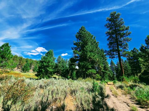 Tiny photo for 32500 SE Tackman Road, Prineville, OR 97754 (MLS # 220209744)