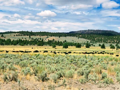 Tiny photo for 32500 SE Tackman Road, Prineville, OR 97754 (MLS # 220209744)