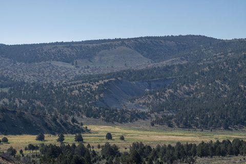 Tiny photo for 32500 SE Tackman Road, Prineville, OR 97754 (MLS # 220209744)