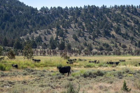 Tiny photo for 32500 SE Tackman Road, Prineville, OR 97754 (MLS # 220209744)