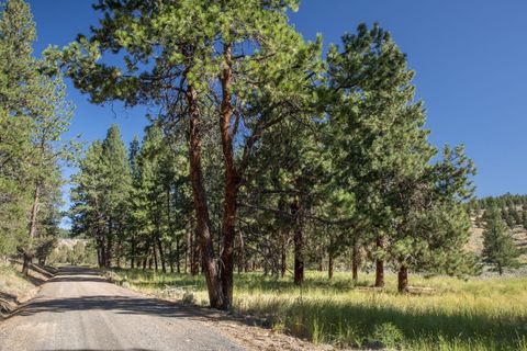 Tiny photo for 32500 SE Tackman Road, Prineville, OR 97754 (MLS # 220209744)