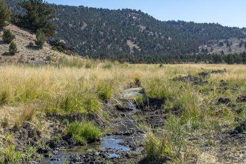Tiny photo for 32500 SE Tackman Road, Prineville, OR 97754 (MLS # 220209744)