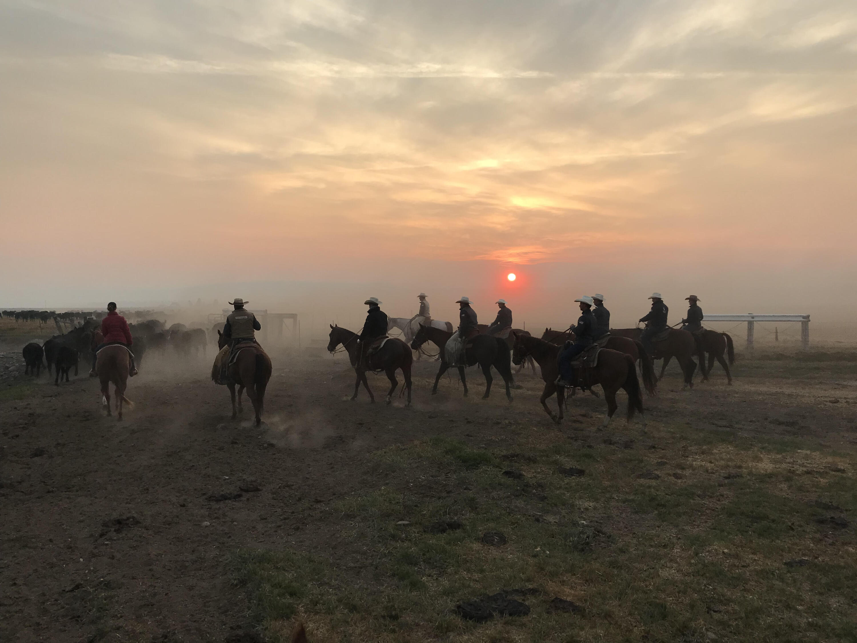 Klamath Country - Farm