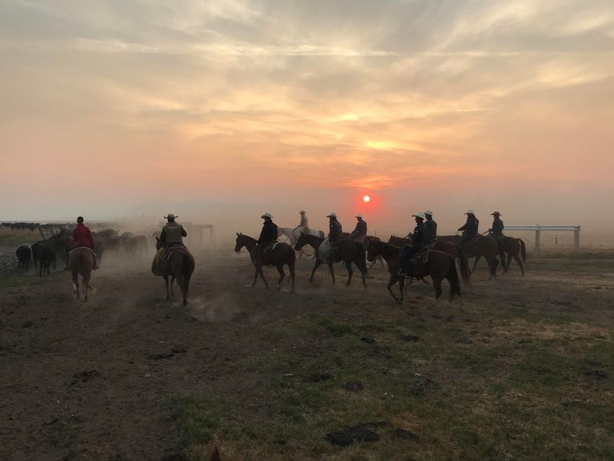 Fort Klamath, OR, is situated in a grassland valley near Crater Lake National Park. Est. in 1863, the fort played a crucial role in the Modoc War & served as a vital outpost in the region. The area's rich past adds a layer of prestige & intrigue, not just a business venture but a piece of OR heritage. Fort Klamath Ranch sprawls across 1,474 ± fully irrigatable acres w/ a variety of primary & suppl. water rights steeped in history. Extensive acreage of historic grass & cattle feed, renowned for its quality & abundance. Natural resources of the region along w/ meticulously maintained grass provide an ideal environment for raising healthy, robust cattle. In recent years, this ranch has run 1,200-1,400 yearlings from May-October, w/ various cow-calf pairs added to utilize the add'l feed. Improv incl 2 homes, large barn, multi outbuildings, & extensive livestock working facilities. The ranch's investment potential offers for continued cattle operation, agritourism, and land appreciation.