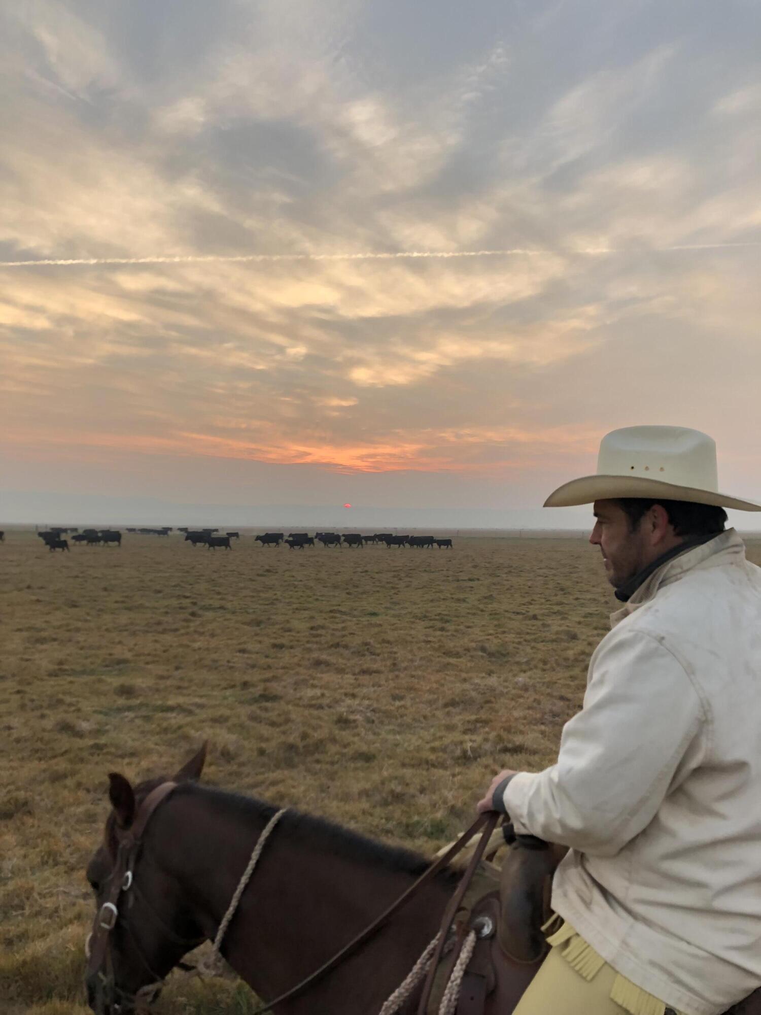 Klamath Country - Farm