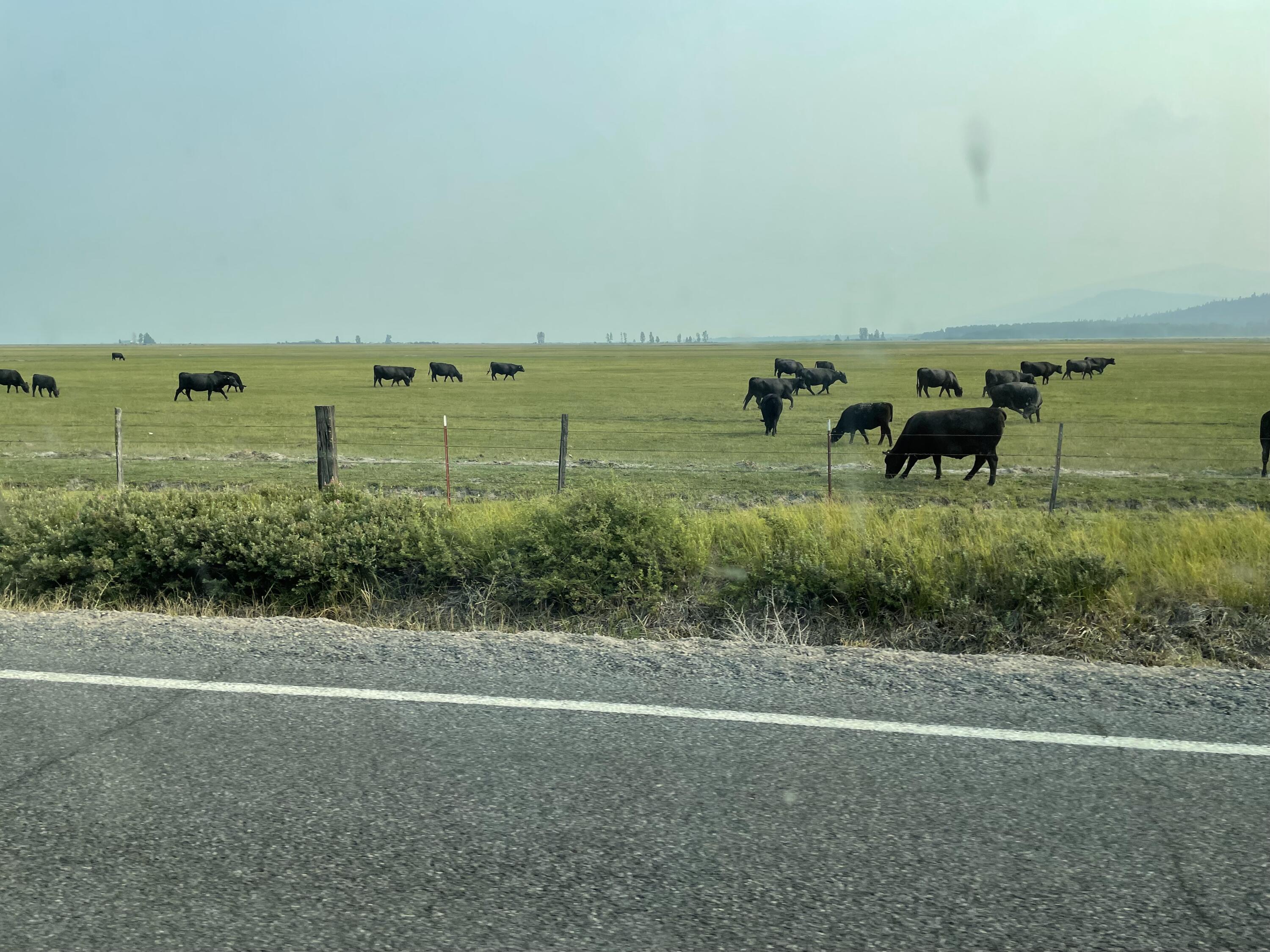 Klamath Country - Farm