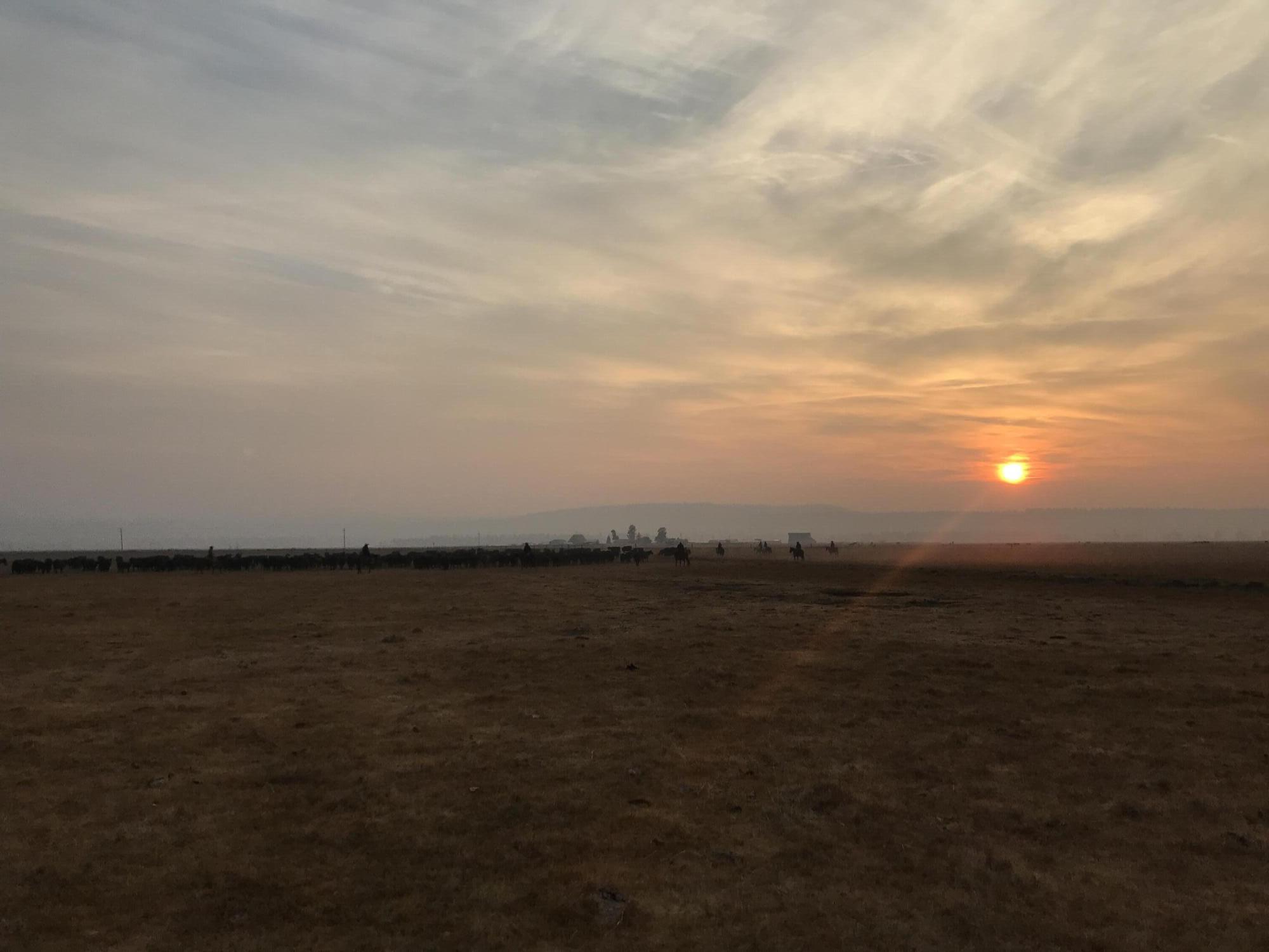 Klamath Country - Farm