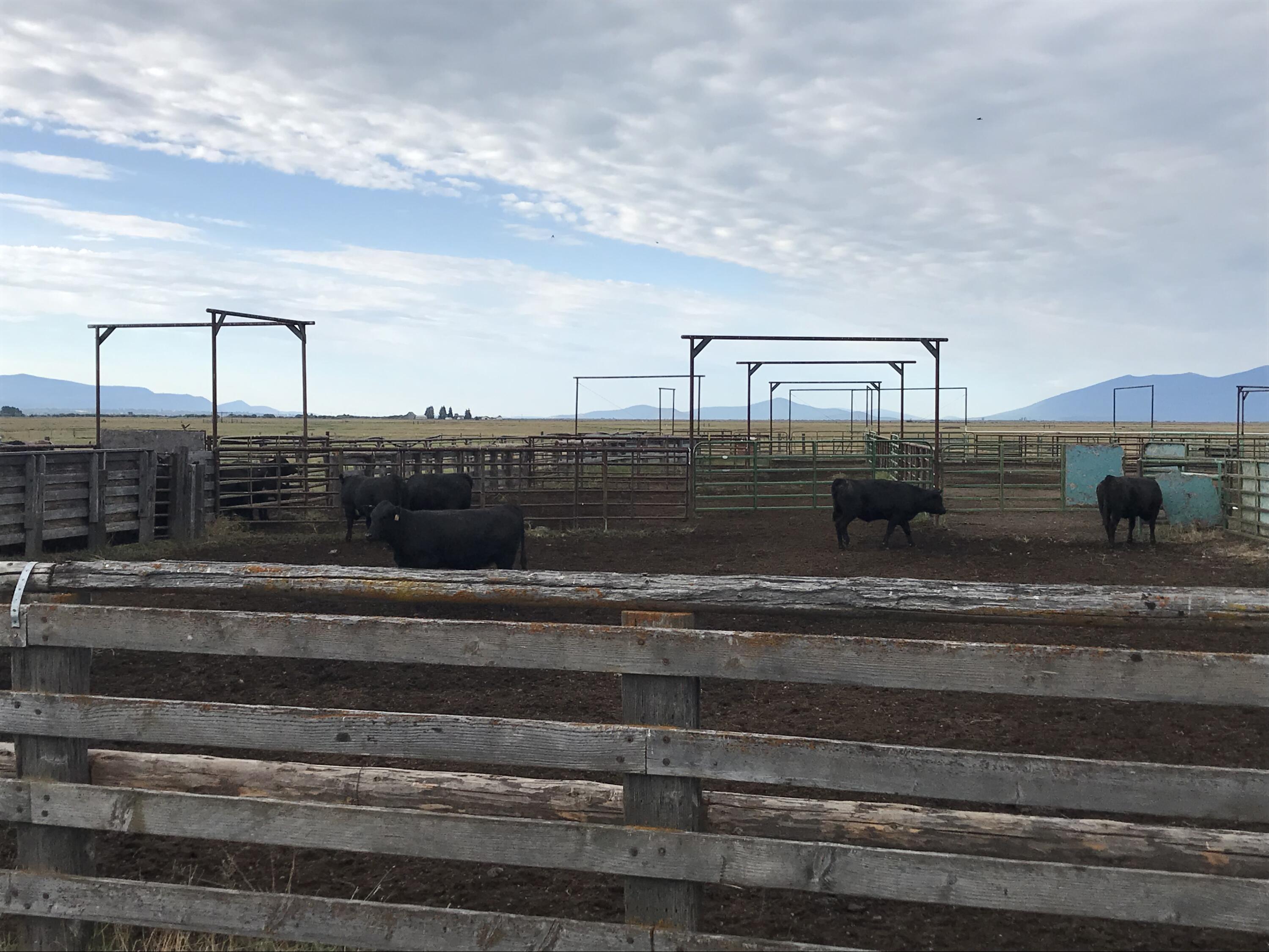 Klamath Country - Farm