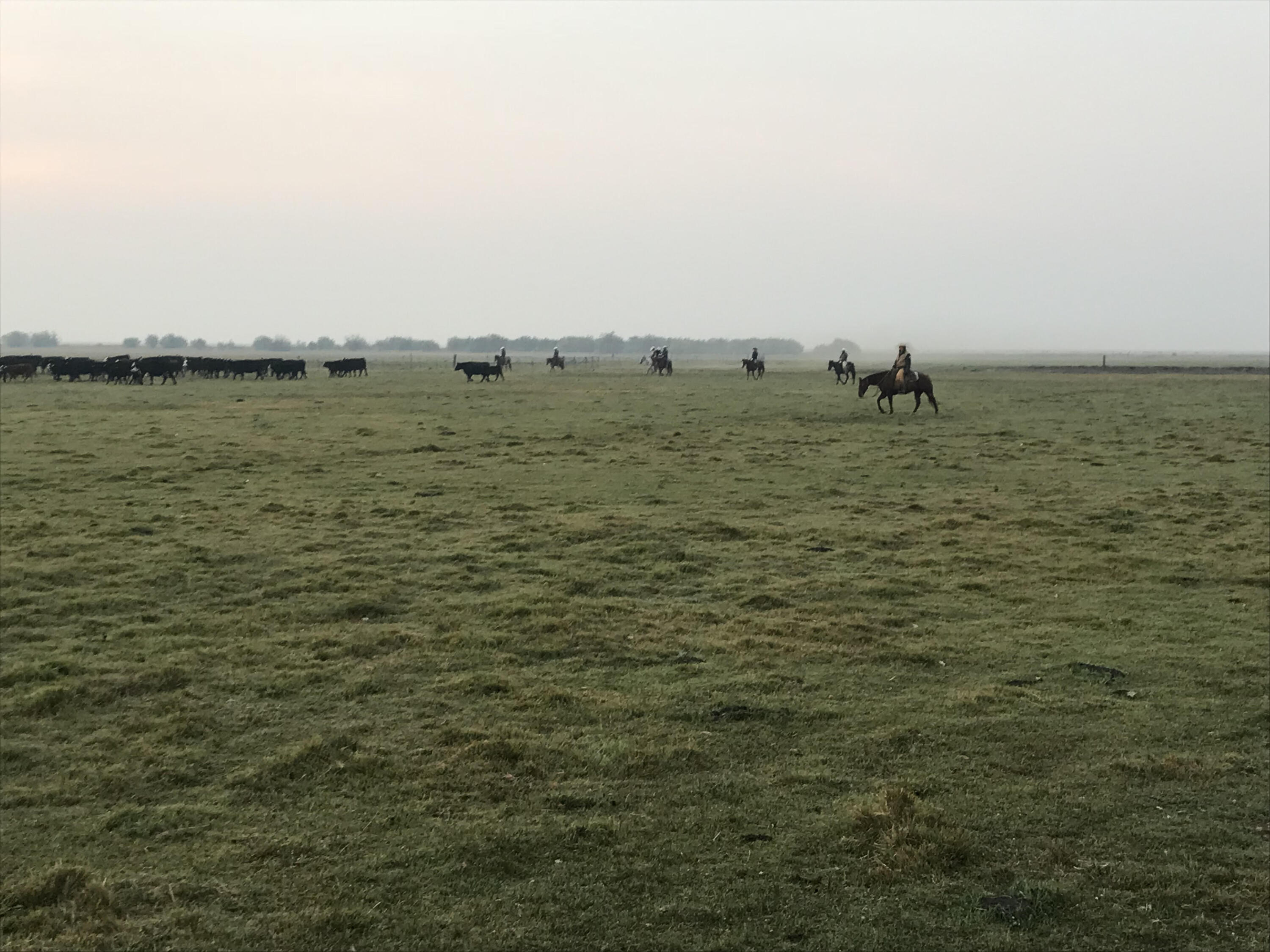 Klamath Country - Farm