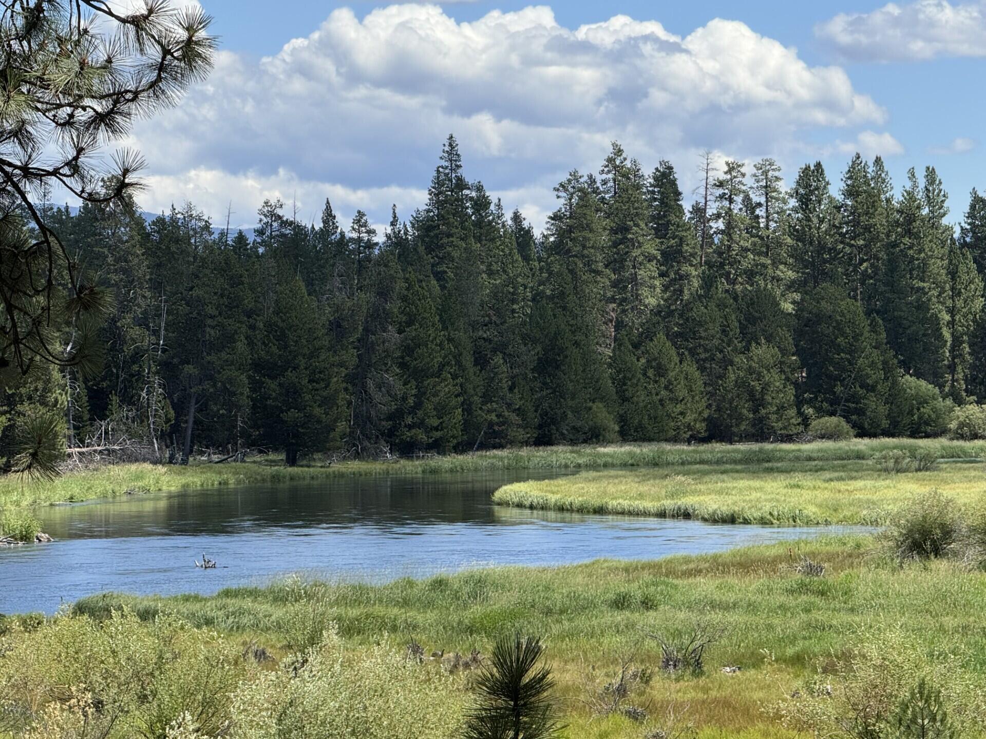 River Forest Acres - Residential