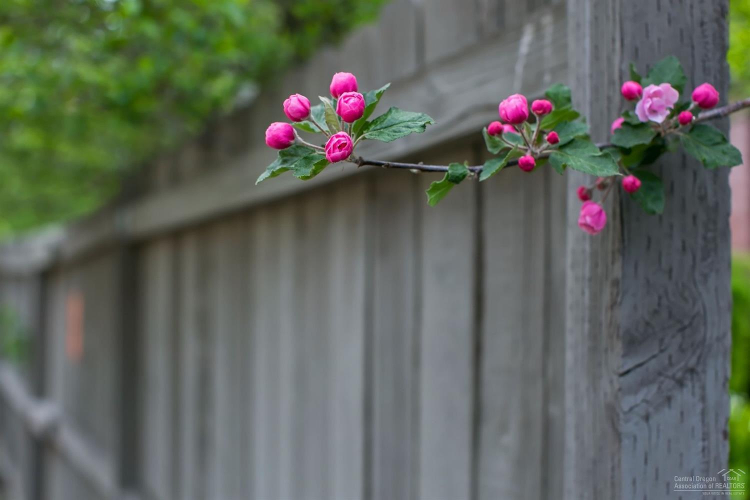 River Terrace - Residential